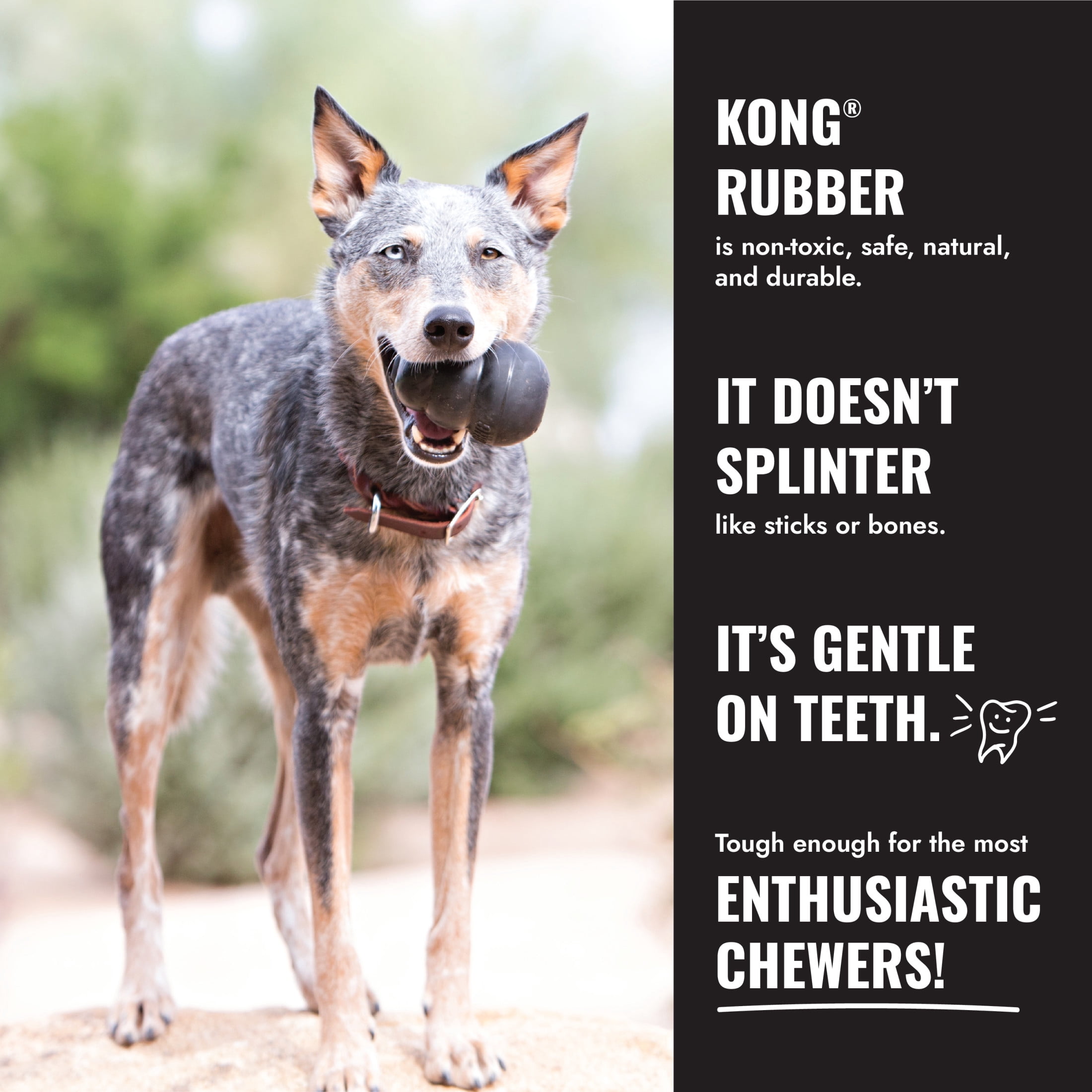 KONG® Extreme Ball with Rope Durable Dog Toy, Large, for Dogs Between 30-65 lbs
