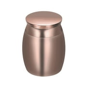 Urns for Ashes Decorative Urns for Adult Human Ashes Mini Stainless Steel Cremation Urns for Human Ashes for Adult Male Female Ashes for Pet Cremation Urn