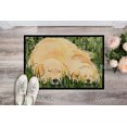 thumbnail image 2 of Carolines Treasures SS8838MAT Paillasson Intérieur Extérieur 18 x 27 Po. Golden Retriever, 2 of 4