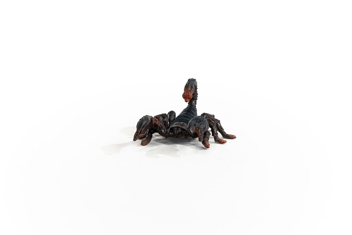 Schleich Wild Life - Emperor Scorpion Toy Figurine - Insect and Bug Toys - Kids Ages 3+