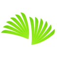 thumbnail image 1 of Baohd 12 Pieces Archery Hunting Arrow Feather Fletching Right Wing Fletches 4 inch Fluorescence Green, 1 of 9