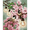 Cherry Blossoms & Chickadees, variant on Diamond Dotz Love Birds Diamond Painting Kits for Adults - Diamond Art Kits a Relaxing Creative Craft Kit with Dotz Gems 12x12