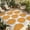 Orange, variant on Orange Dahlia Outdoor Rug for Patio/Deck/Porch, Non-Slip Large Area Rug 3 x 5 Ft, Farmhouse Abstract Gray Floral Flowers Indoor Outdoor Rugs Washable Area Rugs, Reversible Camping Rug Carpet Runner