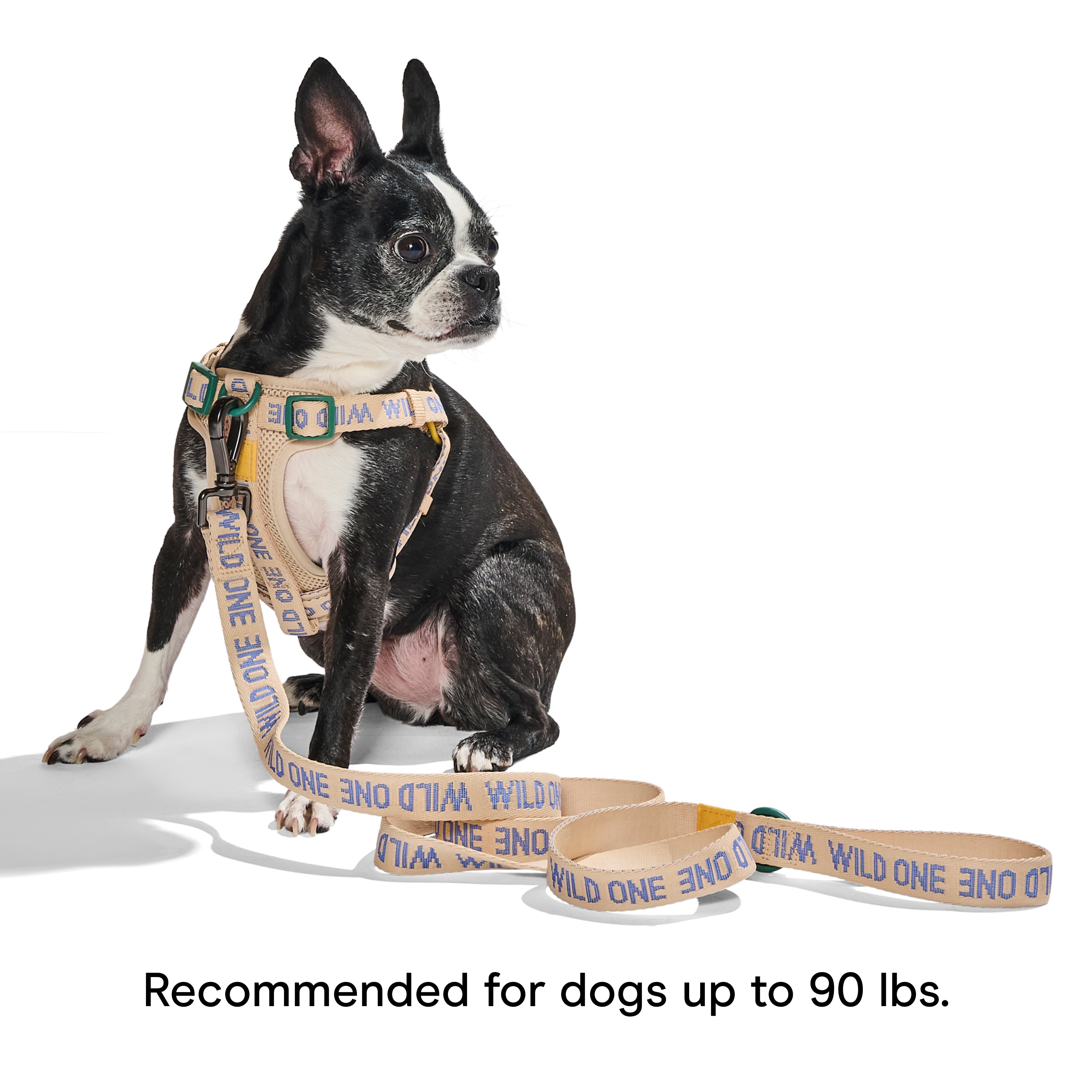 Wild One 6ft Heavy Duty Lightweight Nylon Dog Leash, Retro Tan Colorblock