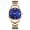 RoseBlue, variant on Watch for Women Analog Quartz Watch Fashion Simple Wristwatch Stainless Steel Watch Band Ladies Watch Waterproof Watch Gift for Woman