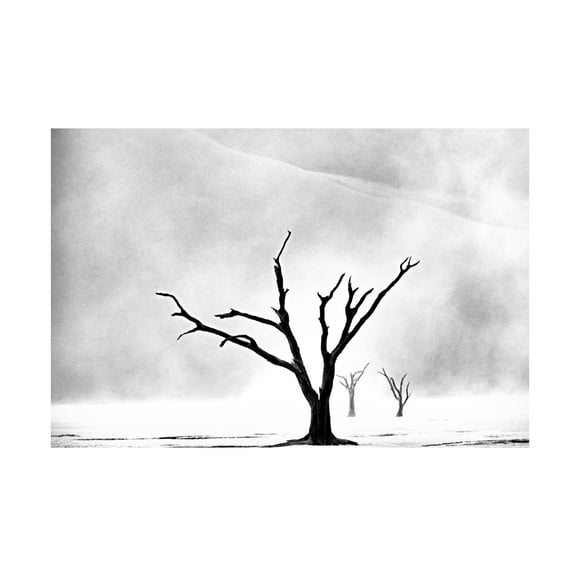 Trademark Fine Art Gina Buliga Namibia The Spirit Of Wilderness Canvas Wall Art