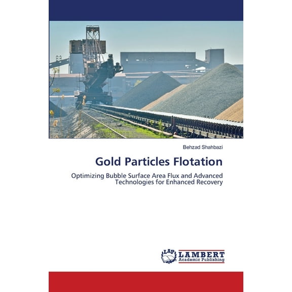 Gold Particles Flotation, (Paperback)