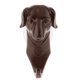 thumbnail image 2 of GANCHO PARA ABRIR Y CERRAR DE VACACIONES CON CABEZA DE ANIMAL, DECORATIVO, DE 4 PULGADAS X 3 PULGADAS, PARA PASILLO Perro de café, 2 of 6