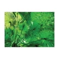 thumbnail image 1 of Ambesonne Rainforest Jigsaw Puzzle, Exotic Jungle Plants, Heirloom-Quality Fun Activity for Family Durable Cardboard, 1000 pcs, Green, 1 of 2