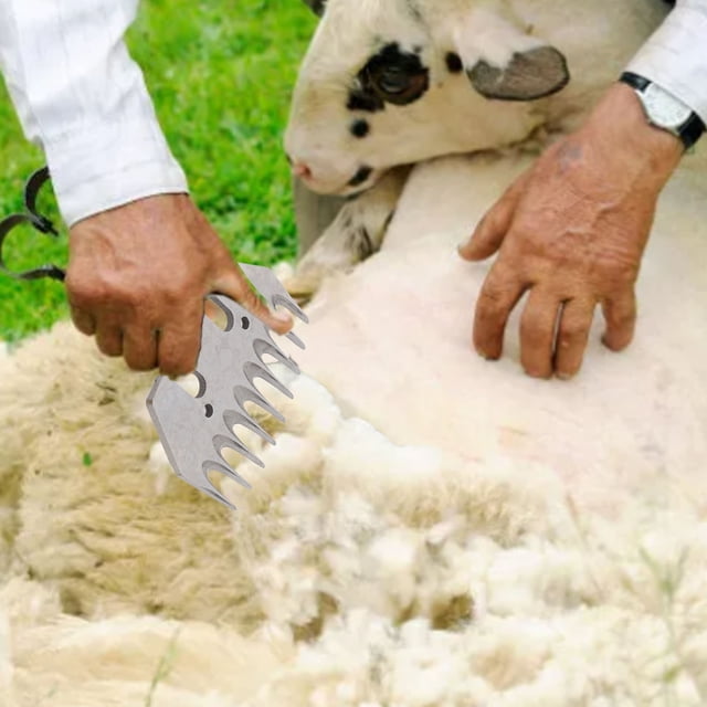 Electric Straight Sheep Shears Replacement for Blades Efficient Stainless Steel for Sheep Shears Grooming