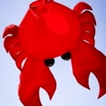 thumbnail image 3 of In the Breeze 5230 — Crab Big Breeze Windsock™ — Large, 3D Beach Windsock for Yards, Gardens, Patios, 3 of 7