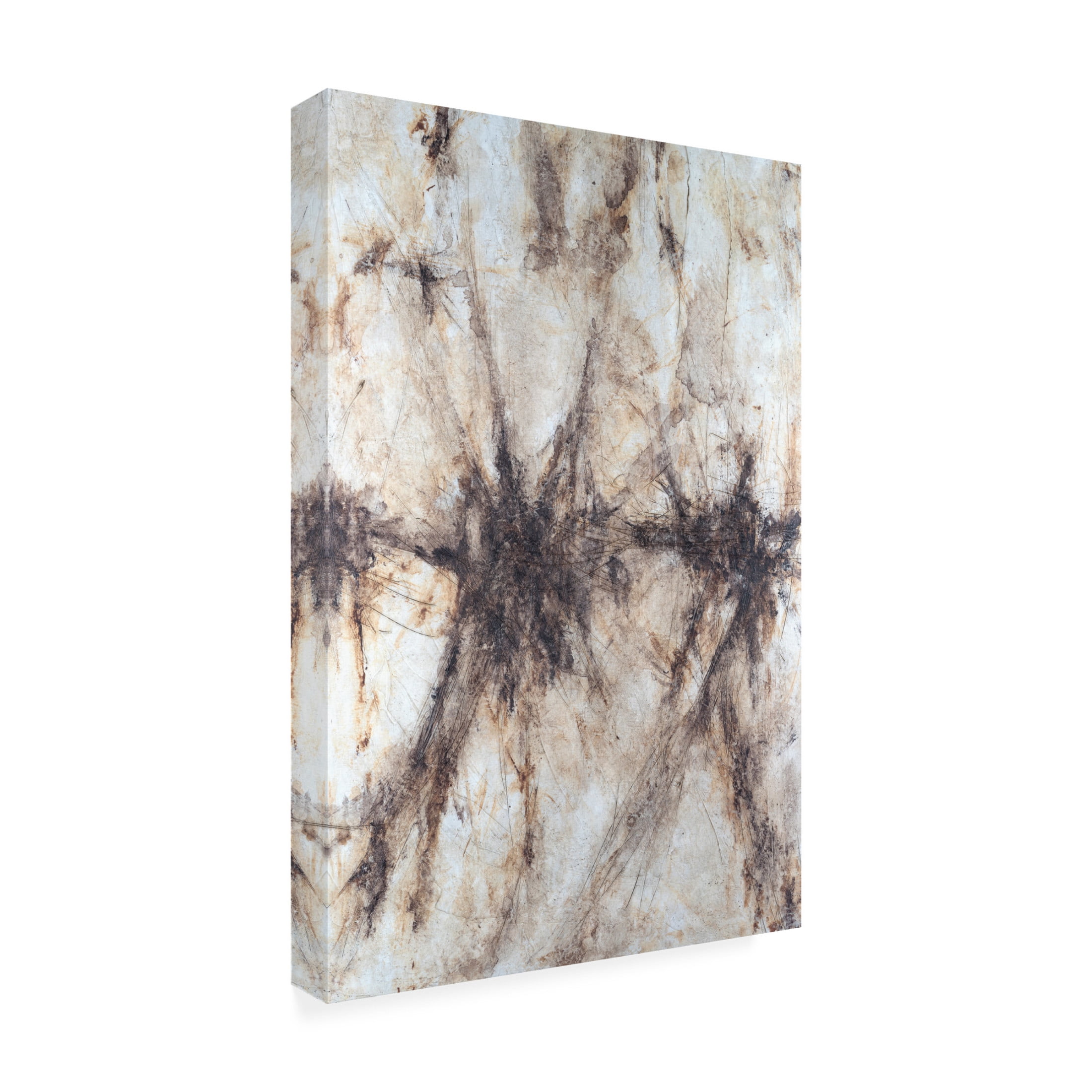 Canvas Wall Art - Michael Willett 'Etched stone II' Wall Art for Living Room, Bedroom, or Office Décor by Trademark Fine Art - 16 x 24 Inches