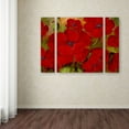 thumbnail image 3 of Trademark Fine Art "Poppies" Canvas Art by Rio Three Panel Set, 3 of 3