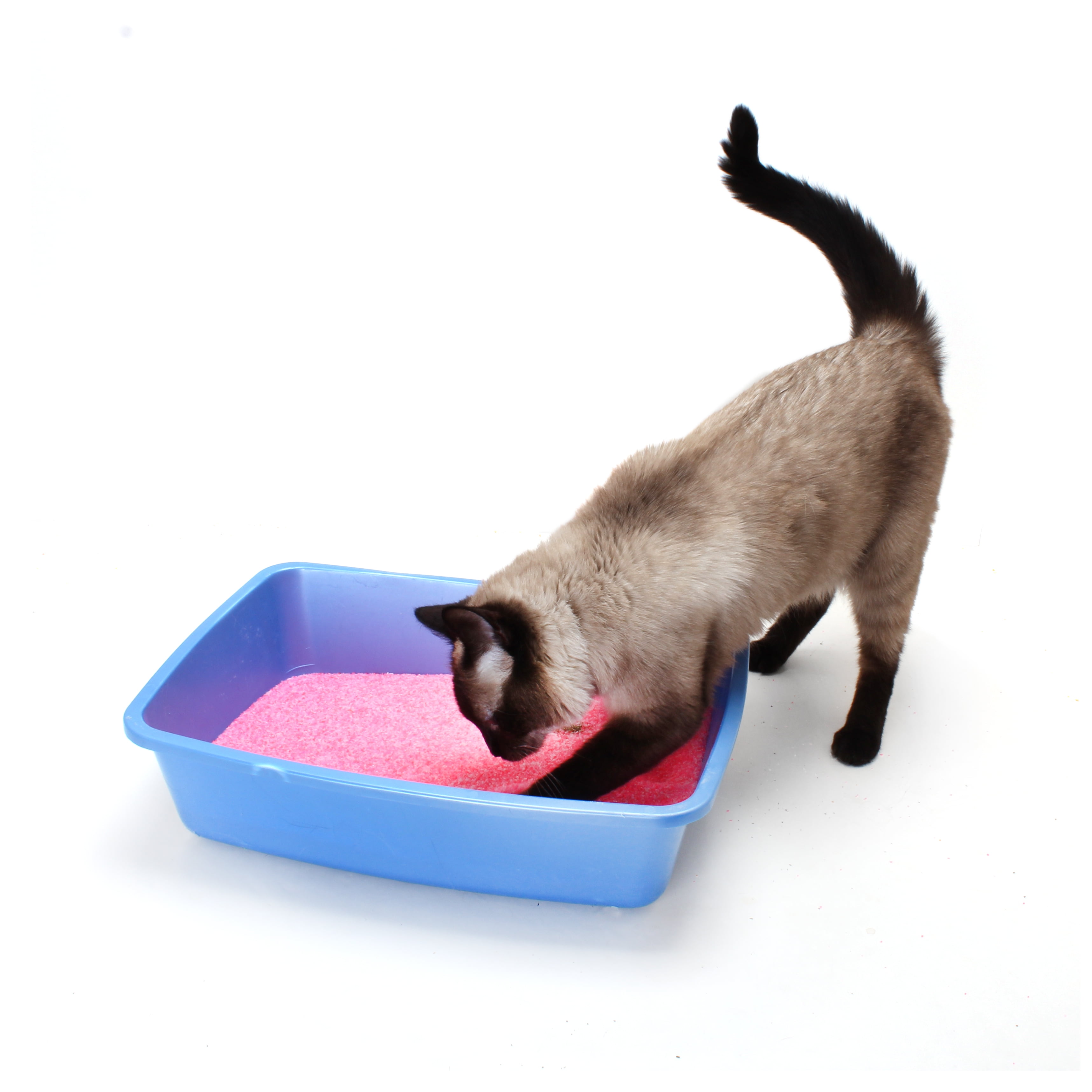 Neon Litter Pink Clumping Crystals Cat Litter, 4-lb Bag