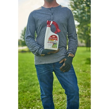 Ortho Home Defense Insect Killer for Lawn & Landscape Ready-To-Spray