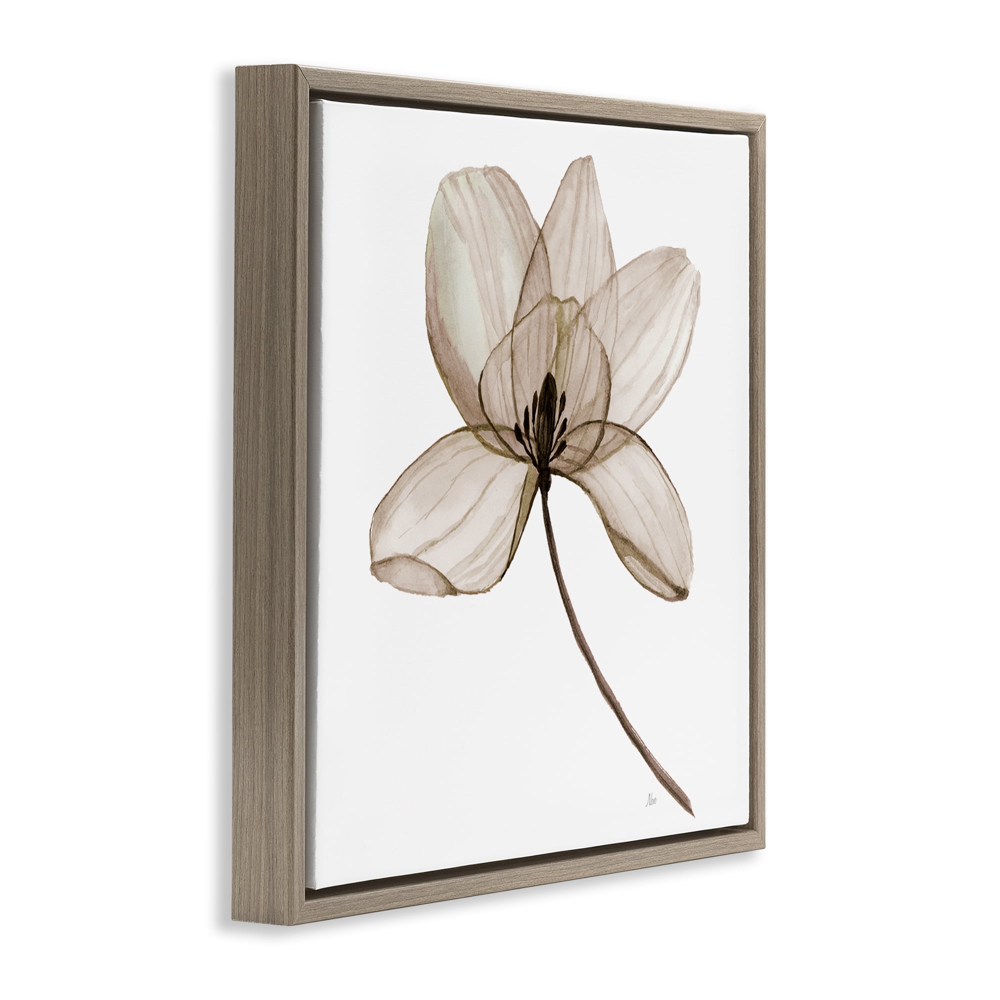 Stupell Industries Beige Opaque Blossom Plants & Flowers Painting Brown Floater Framed Canvas Art Print Wall Art, 18 x 18