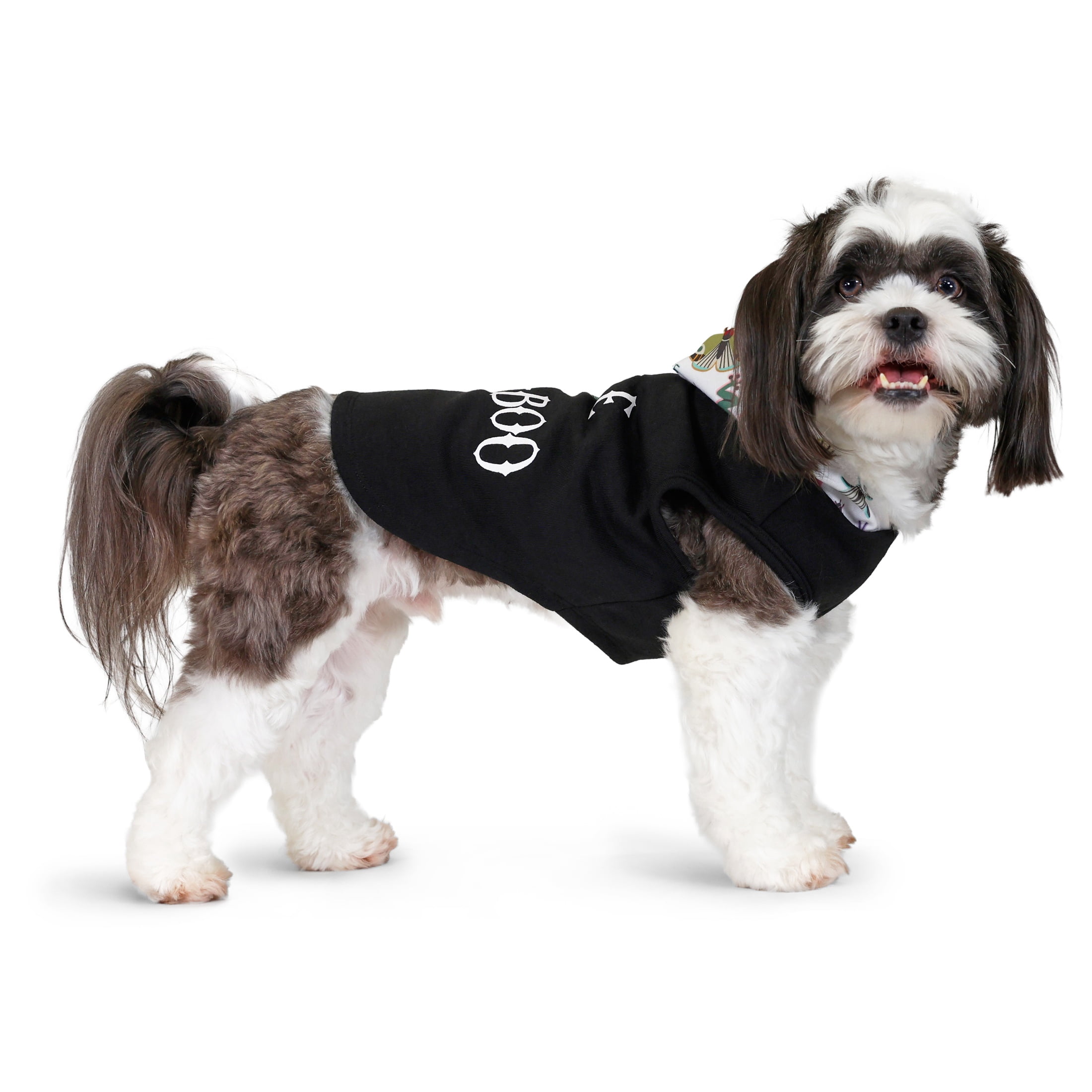 Vibrant Life Halloween Hoodie for Dogs & Cats, Little Bug-a-Boo, Black, Small