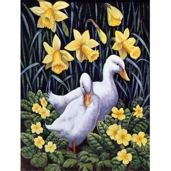 Ducks by Daphne Baxter Flag Canvas House Size