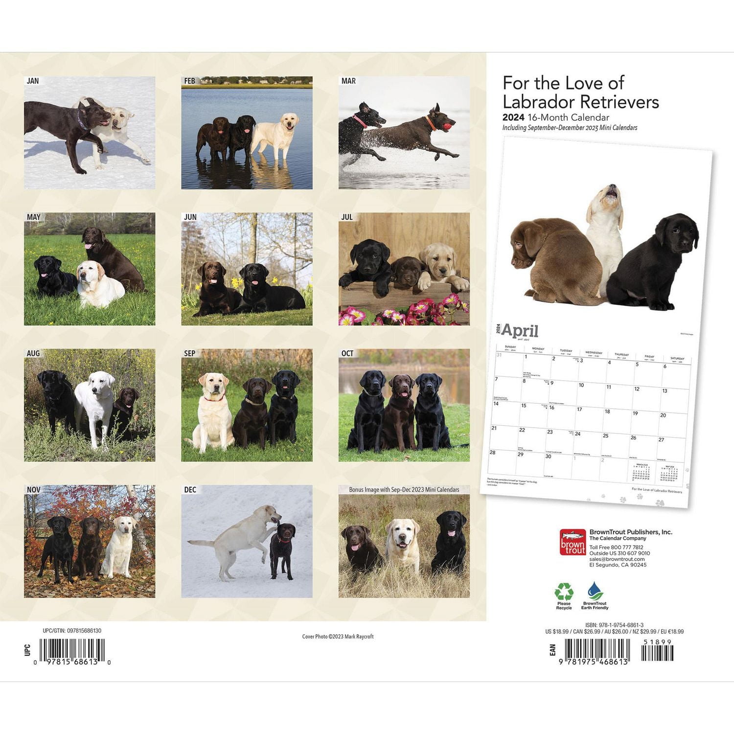 Labrador Retrievers, pour l'amour des 2024 35.56x60.96 CM Mur Deluxe Calendrier, 9781975468613