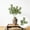 White161, variant on LEFTHIGH Home Simulated Rose Jasmine Smiling Flower Artificial Flower 80cm Tall Stems Artificial Silk Flower Bouquet Indoor Home Decor