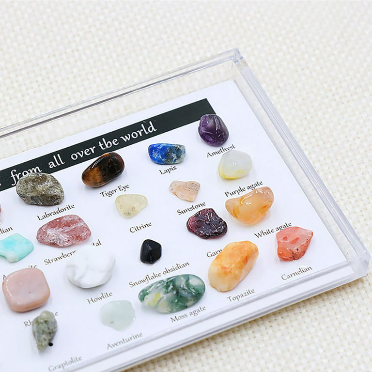 24X Rock Quartz Mineral Collection Display Case Science Teaching Geography  Stone