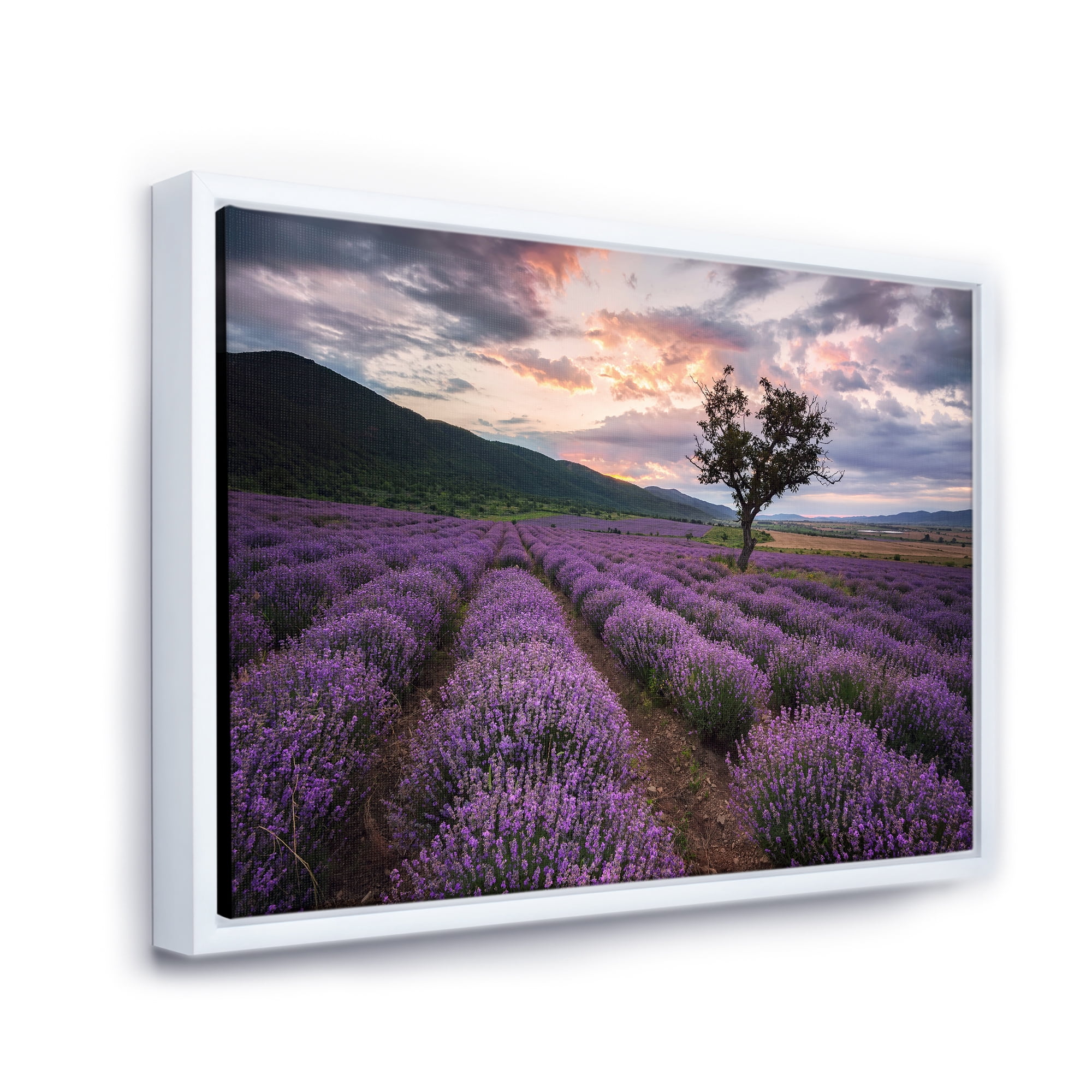 Designart 'Lavender Field At Sunrise III' Farmhouse Framed Canvas Wall Art Print