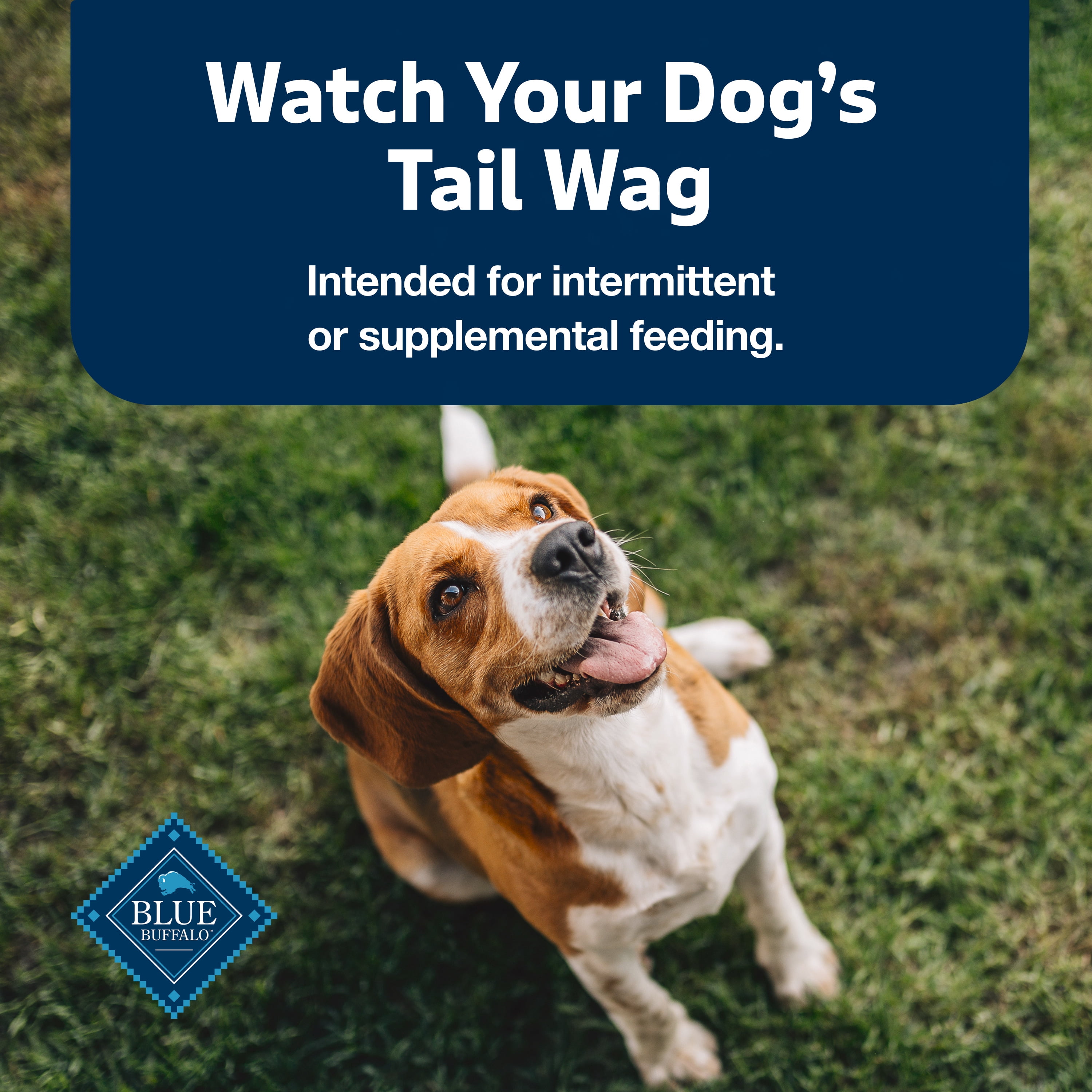 Gâteries molles et moelleuses naturelles pour chiens Stix de Blue Buffalo, recette à l'agneau, sac de 170 g (6 oz) 170g