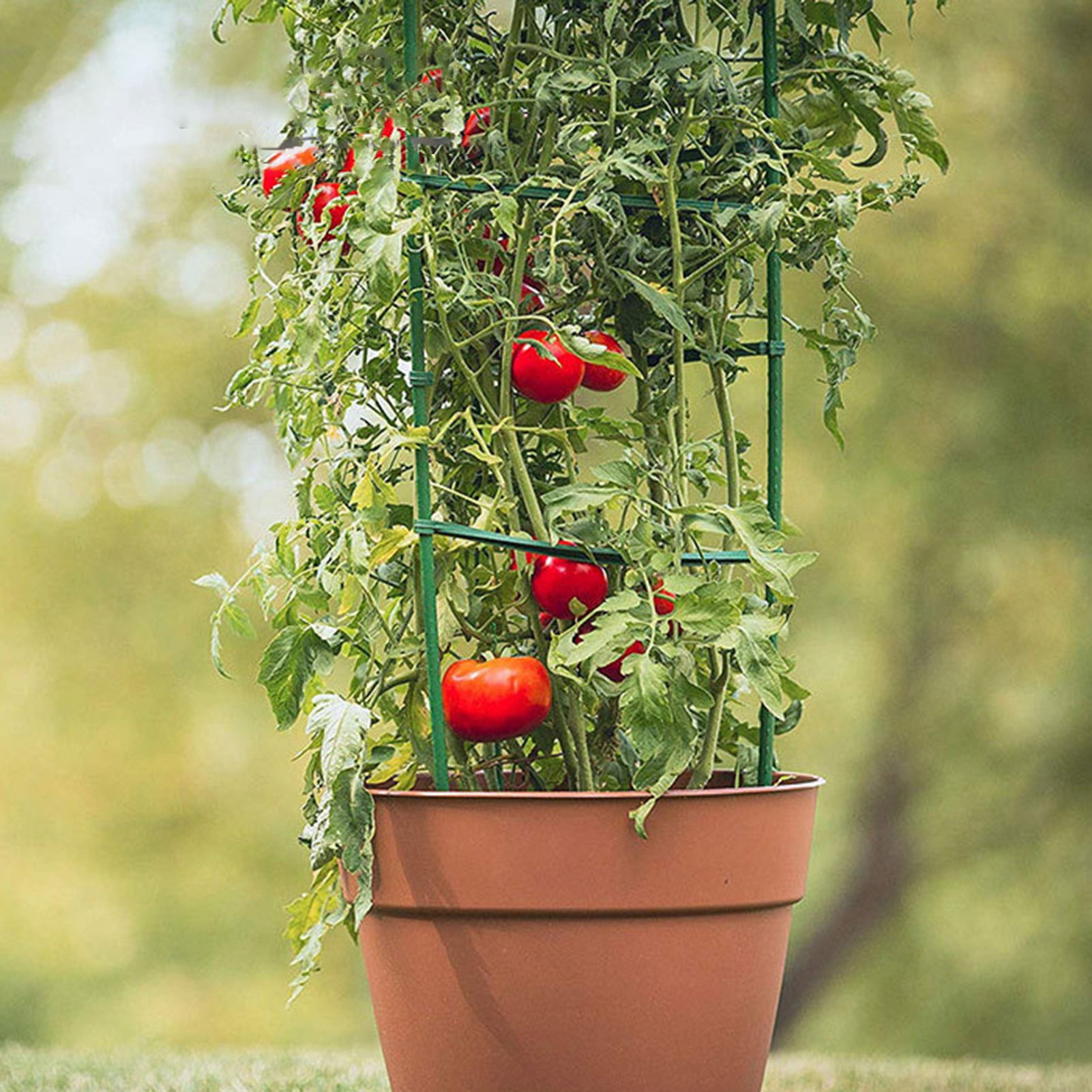sunsanly Tomato Cages Outdoor Plant Stakes Tomato Support Cages Trellis Plant Supports Garden Stakes Climbing Vegetables Cages Trellis