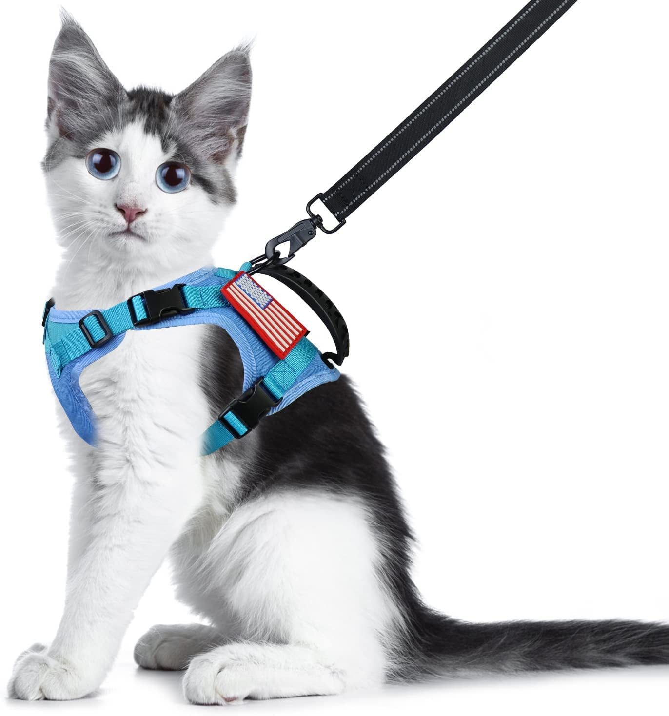 harness and leash set for cats