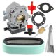 thumbnail image 1 of 693480 Carburetor Compatible With 693479 499306 With 394019s Air Filter 394358s Fuel Filter, 1 of 5