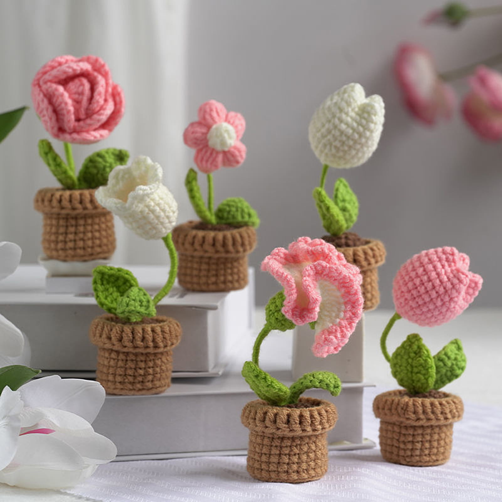 Iuuidu Crochet Kit for Beginners,Flower Crochet Kit, Crochet