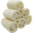 thumbnail image 1 of Paquete de 6 esponjas 100% naturales de 4 pulgadas, depurador exfoliante de spa para el cuidado de la piel en el baño, la mejor esponja exfoliante corporal Luffa, elimina la piel muerta, 1 of 5