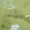Light Green, variant on oneOone Cotton Jersey Pink Fabric Asian Japanese Floral Birds With Plants Quilting Supplies Print Sewing Fabric By The Yard 58 Inch Wide