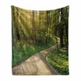 thumbnail image 1 of Outdoor Soft Flannel Fleece Blanket, Footpath Green City Park Sun Rays Freshness Hiking Forest Tranquil Botany, Cozy Plush for Indoor and Outdoor Use, 50" x 60", Green Beige Yellow, by Ambesonne, 1 of 6
