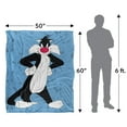 thumbnail image 5 of Looney Tunes Blanket, 50'x60', Sylvester Character Silky Touch Super Soft Throw, 5 of 6