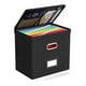 thumbnail image 1 of Caja organizadora de archivos Oterri con tapa y bolsillos de malla, color negro, 1 of 7