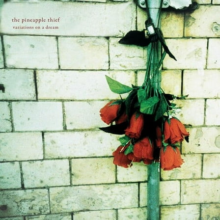 Pineapple Thief - Variations On A Dream - Music & Performance - Vinyl