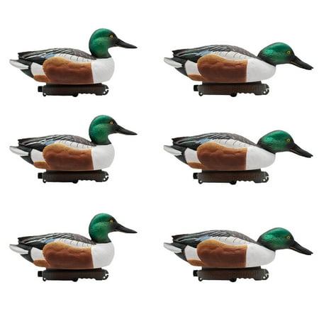 Final Approach HD Northern Shoveler Floating Duck Decoys 6 Pack