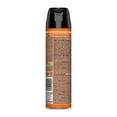 thumbnail image 2 of Insecticida Raid casa y jardín en aerosol 285 ml, 2 of 4