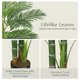 thumbnail image 2 of QinaQin Palma artificial tipo areca con 14 troncos, planta tropical en maceta para interior o exterior, ideal para sala, jardín, patio u oficina, 2 of 6