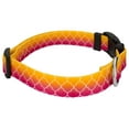 thumbnail image 4 of Country Brook Petz® Deluxe Fabulous Ombre Dog Collar and Leash, 2XS, 4 of 7