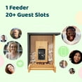 thumbnail image 5 of Birdfy AI Smart Bird Feeder with Camera, High-End Bamboo, Mini in Size, Solar Powered, Permanent AI Identifies 6000+ Bird Species with Motion Detection, Ideal Gift Present, 5 of 8