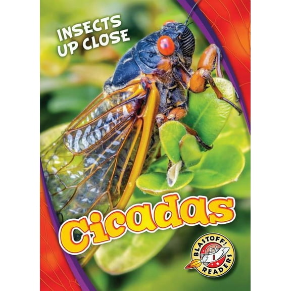 Insects Up Close: Cicadas (Hardcover)