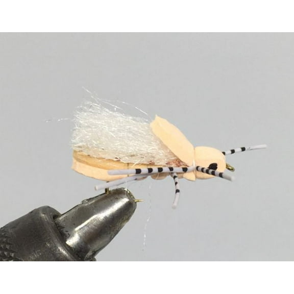 One Dozen (12) - Clod Hopper - Peach - Terrestrial