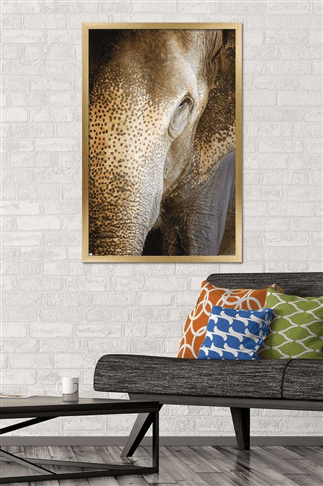 Beth Sheridan - Indian Elephant Wall Poster, 22.375" x 34", Framed