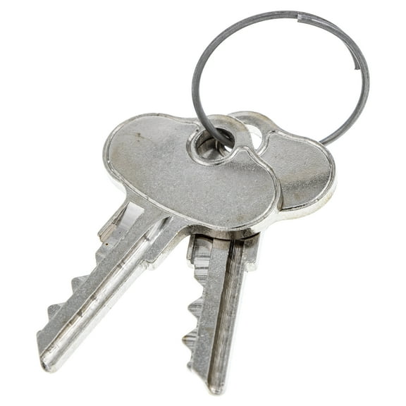 CUB CADET 925-06956 Blank Ignition Key Set of 2 Challenger 400LX Utility Vehicle
