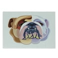 thumbnail image 1 of English Bulldog Cutting Board, Bicolor Cartoon Style Bulldog Portrait Abstract Animal Design, Decorative Tempered Glass Cutting and Serving Board, Small Size, Brown Pale Muave Pink, by Ambesonne, 1 of 1