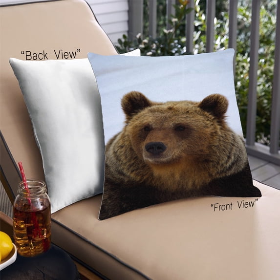 Ahgly Company Animals Bear Outdoor Throw Pillow, 18 inch by 18 inch