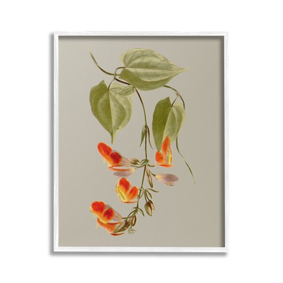 Stupell Industries Vine with Red Blossoms Botanical & Floral Painting White Framed Art Print Wall Art, 24 x 30