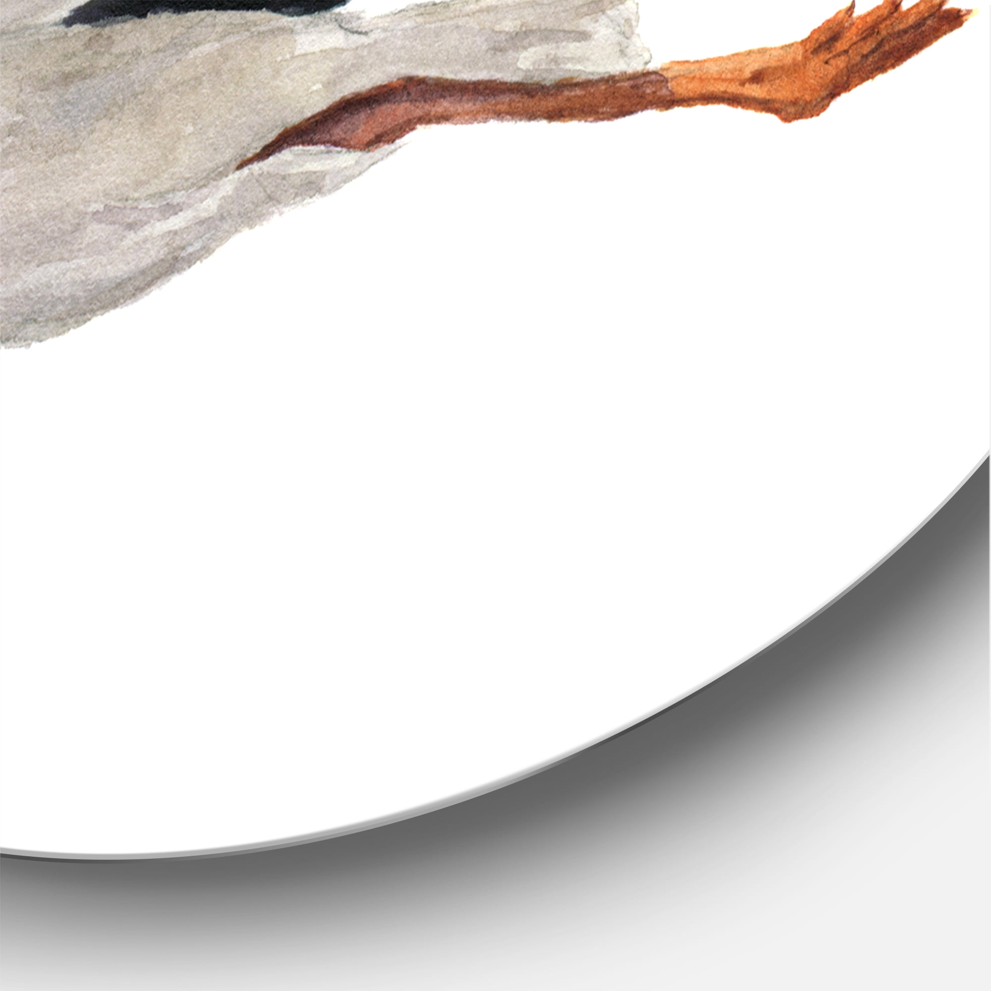 Designart 'White Stork Ciconia Flying Bird ' Traditional Circle Metal Wall Art 11x11 - Disc of 11
